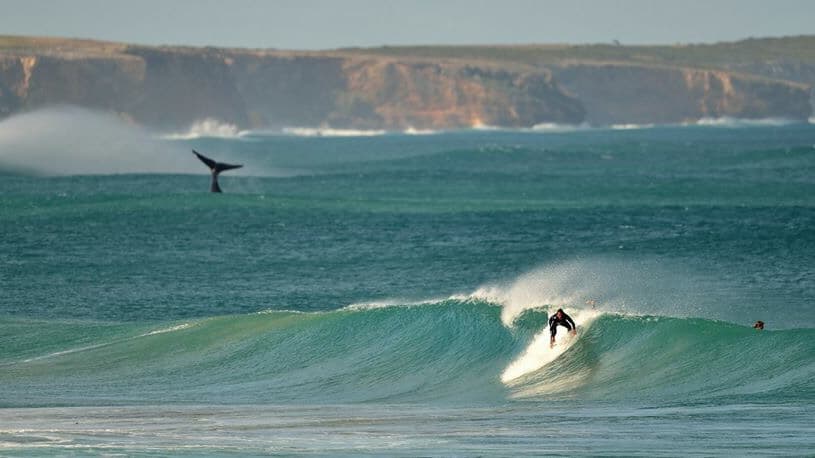 South West Conveyancing Warrnambool