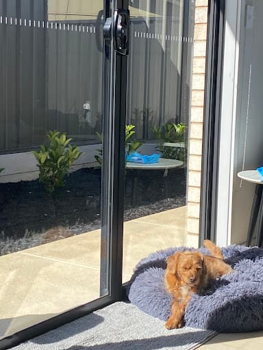 Your Choice Conveyancing — Customer photo